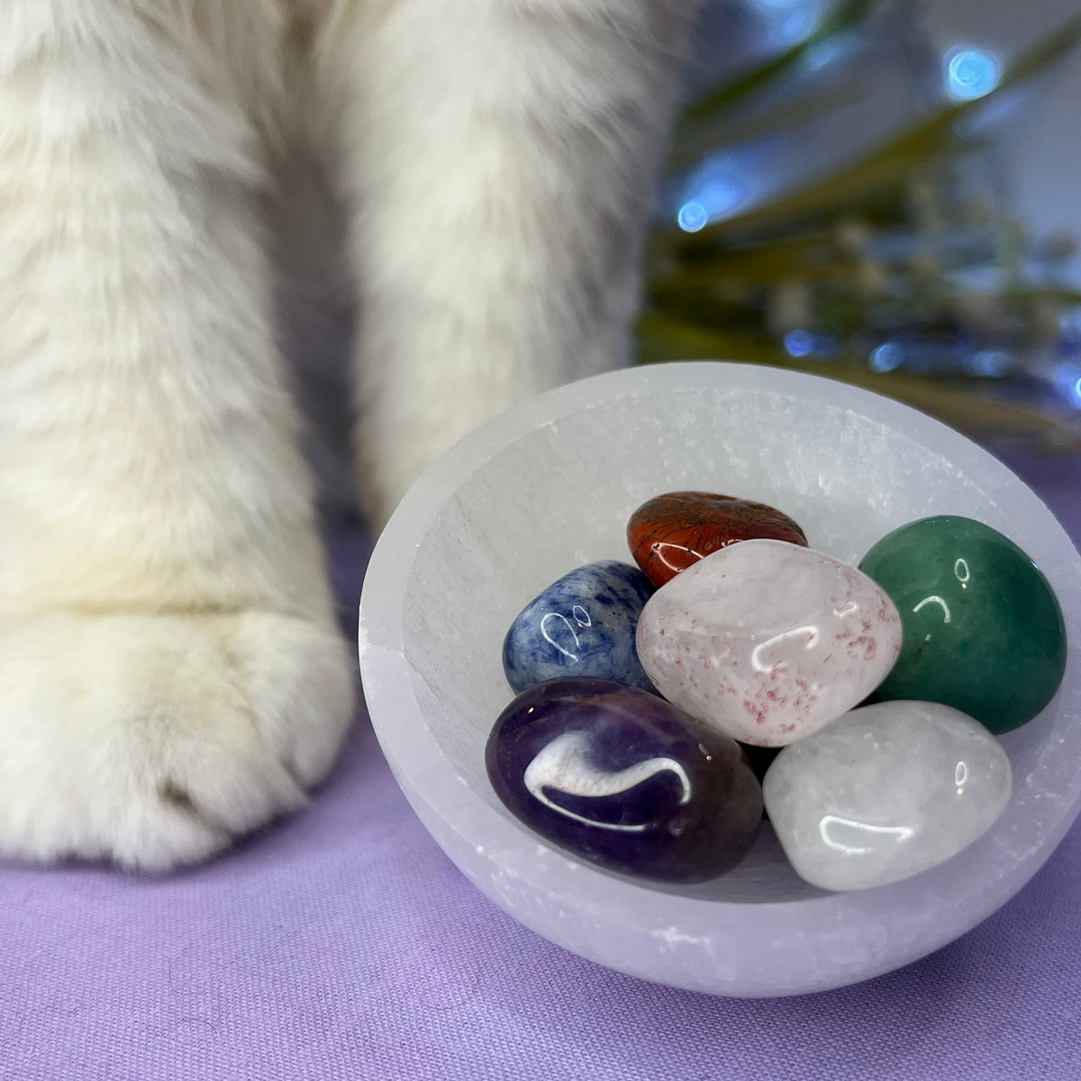 A white crystal ball bowl containing seven polished tumbled stones in various colors, with a white cat's paws resting on a purple surface next to it.