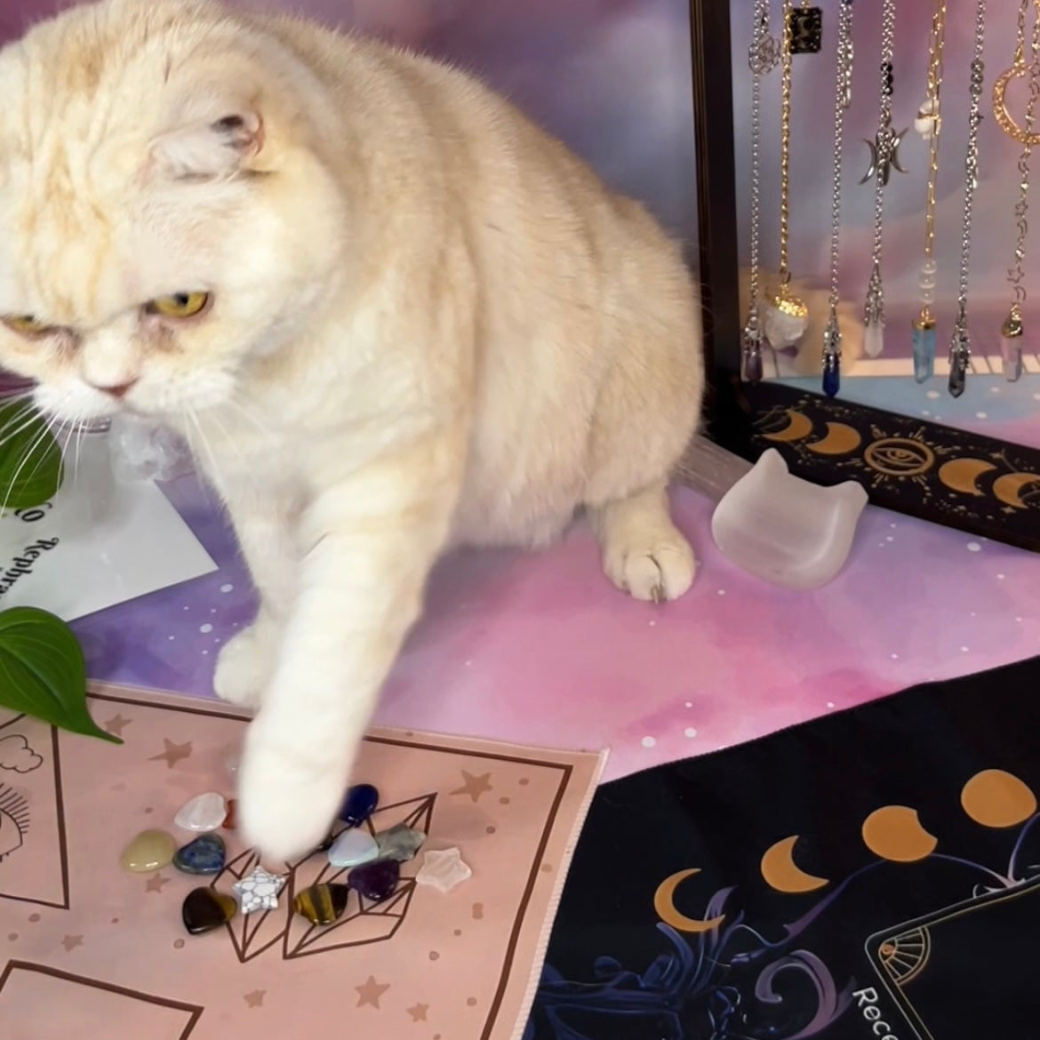 A fluffy cream-colored cat stands on a pink surface, reaching toward small crystals on a tray. A jewelry display rack with hanging necklaces is visible to the right, and a pastel cloud-pattern backdrop fills the background.