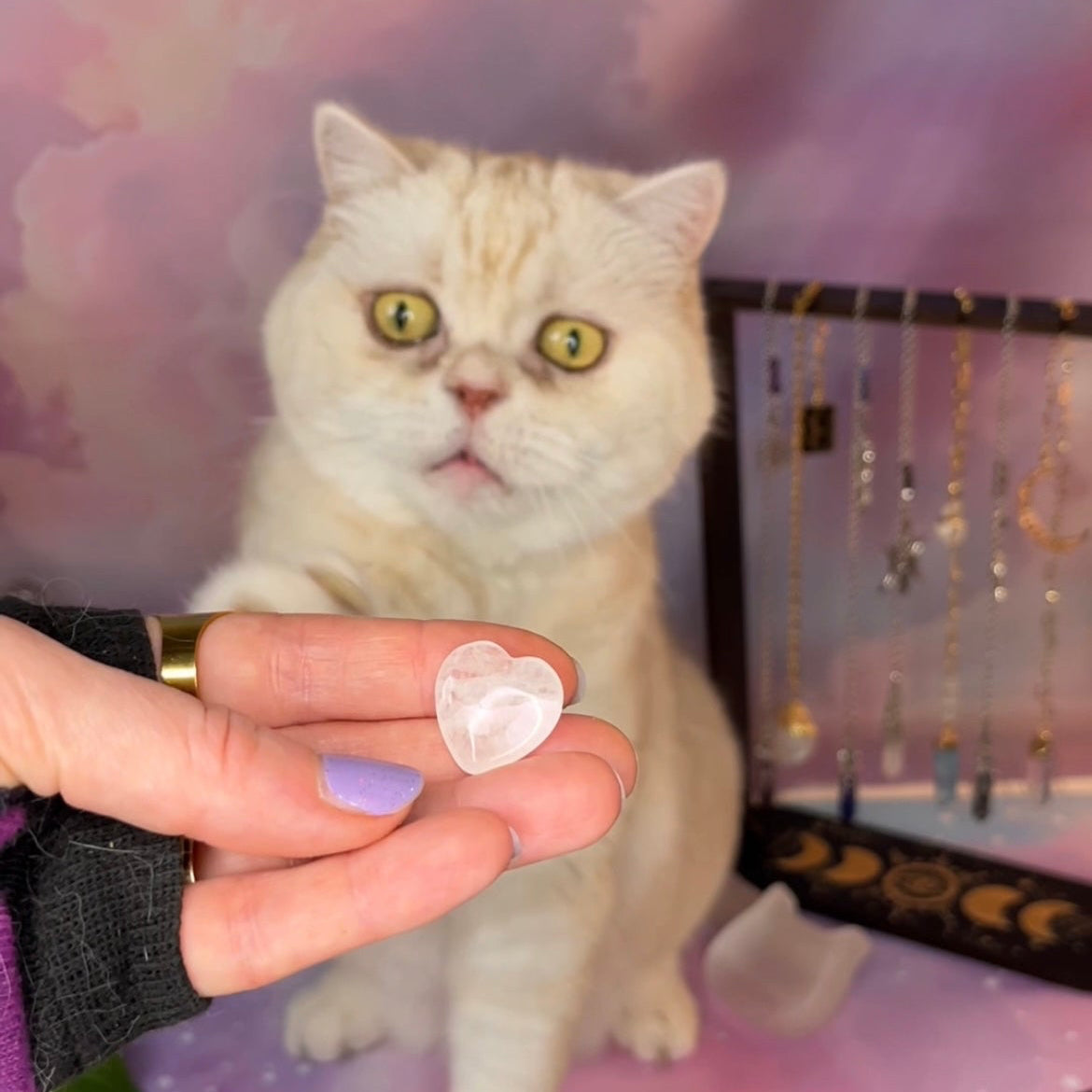 A white cat with yellow eyes looks at a small clear heart-shaped crystal held up by a person's hand, with a pastel cloud backdrop and jewelry display in the background.