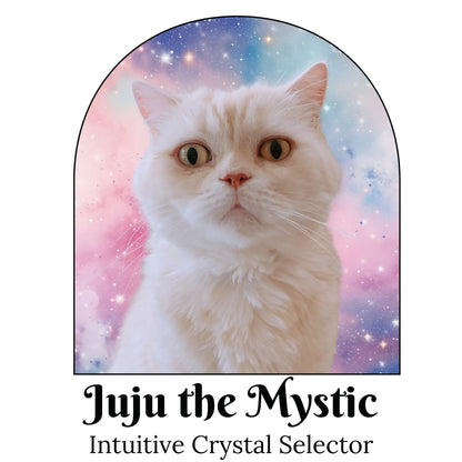 A white fluffy cat centered inside an arched pastel galaxy frame, with the text 'Juju the Mystic' and 'Intuitive Crystal Selector' below on a white background.
